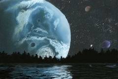 Reflected Worlds