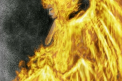 Phoenix Queen