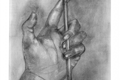 Modified Contour Drawing